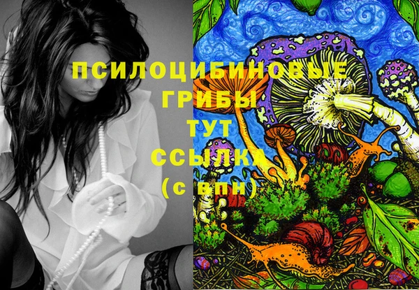 MDMA Premium VHQ Заволжск