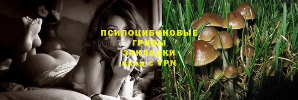 трава Усинск