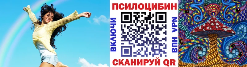 Галлюциногенные грибы Psilocybe  Купить  Бузулук 